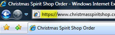Screen shot of HTTPS in the address bar