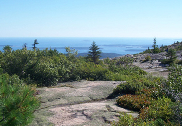 View from Cadillac Mountain