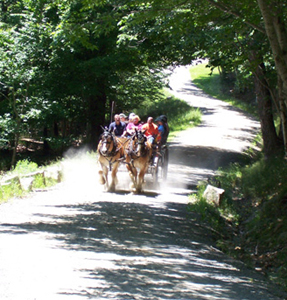 Horse-drawn carriage ride