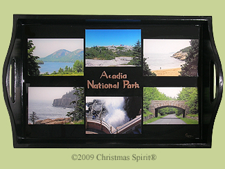 Acadia National Park Tray