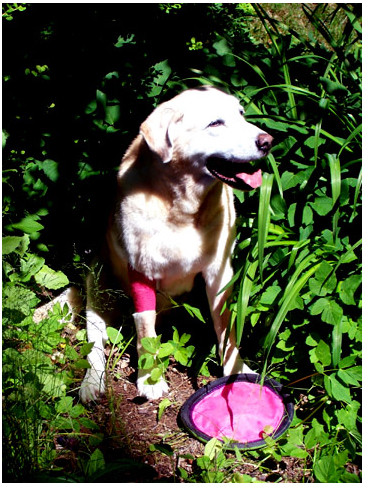 Samantha Sporting her Pink Elbow Wrap