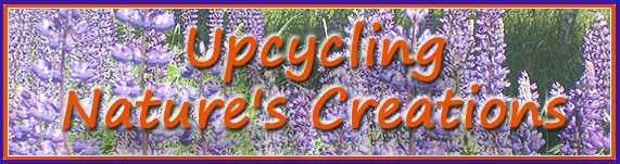 Upcycling Nature's Creations