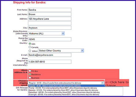 Shipping Address and Speed